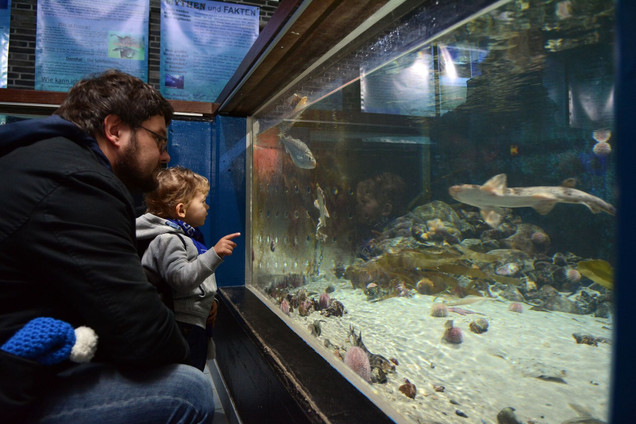 Aquarium im Geomar Kiel. Papa und Sohn schauen sich die Fische an.